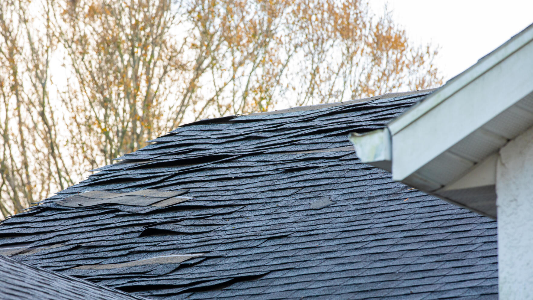 Damaged roof shingles